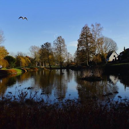 Ferienwohnungen Schoofs Kalkar Esterno foto